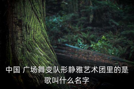 中国 广场舞变队形静雅艺术团里的是歌叫什么名字