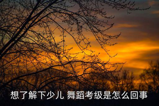 想了解下少儿 舞蹈考级是怎么回事