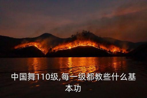 中国舞110级,每一级都教些什么基本功
