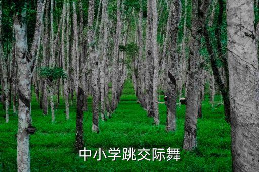 舞蹈交谊舞权威教师,舞蹈教师证什么时候考