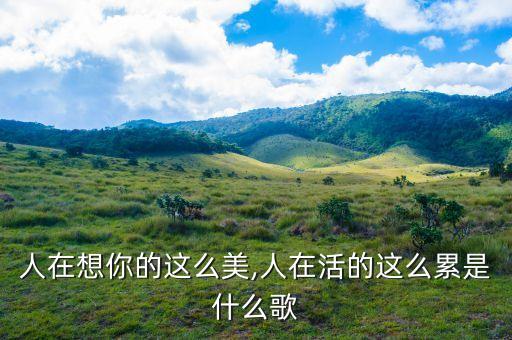 人在想你的这么美,人在活的这么累是什么歌