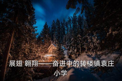  展翅 翱翔——奋进中的转楼镇袁庄小学