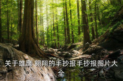 雏鹰翱翔舞蹈音乐