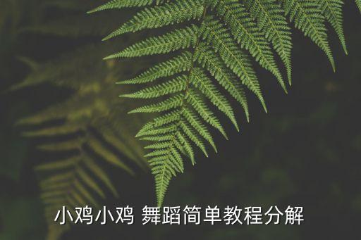 小鸡小鸡 舞蹈简单教程分解