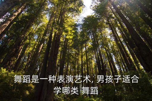 男孩子适合跳什么舞蹈,适合男孩子跳的舞蹈有哪些