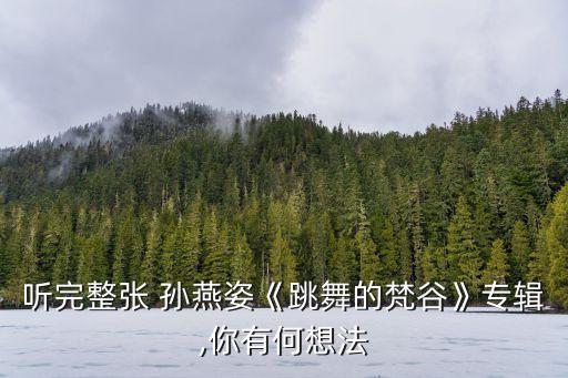 听完整张 孙燕姿《跳舞的梵谷》专辑,你有何想法