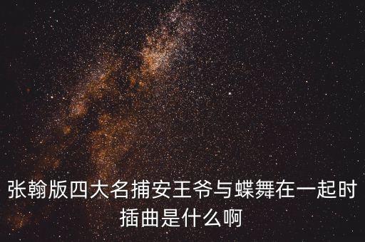 张翰版四大名捕安王爷与蝶舞在一起时插曲是什么啊