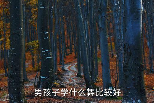  男孩子学什么舞比较好