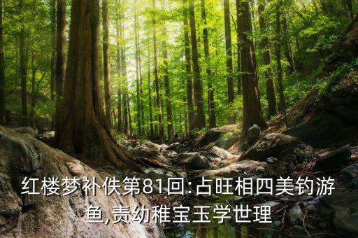 红楼梦补佚第81回:占旺相四美钓游鱼,责幼稚宝玉学世理