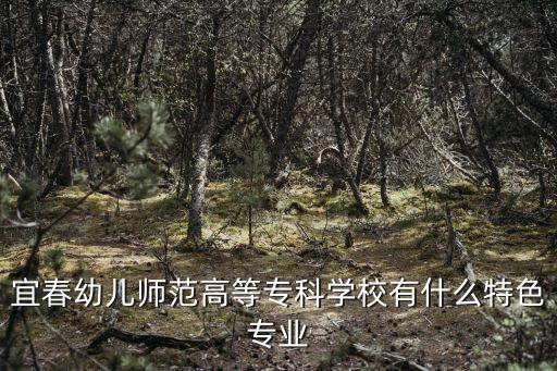 宜春幼儿师范高等专科学校有什么特色专业