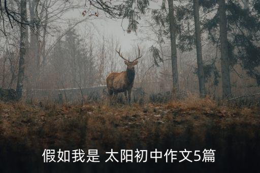 坐上太阳舞蹈,红红的太阳舞蹈视频