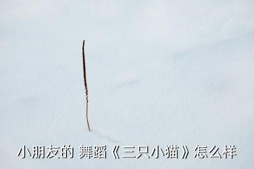 舞蹈孩子报道,孩子学舞蹈到底有没有用