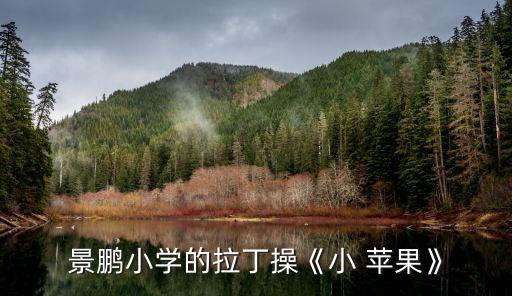 小苹果儿歌舞蹈视频儿童版