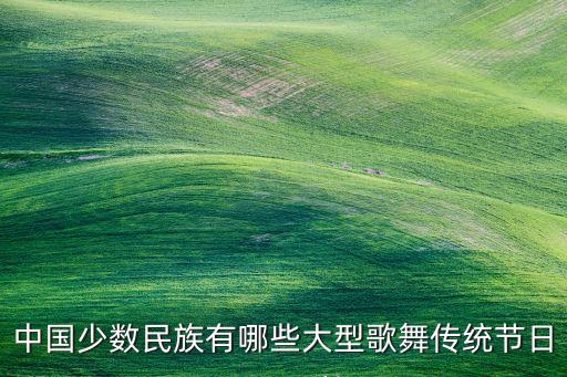 中国少数民族有哪些大型歌舞传统节日