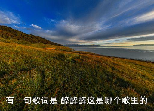 有一句歌词是 醉醉醉这是哪个歌里的