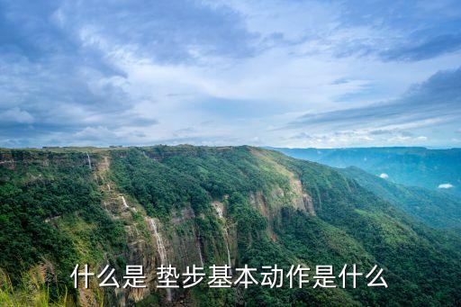 什么是 垫步基本动作是什么