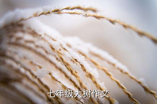 少年呀舞蹈视频,少年舞蹈完整版小学生