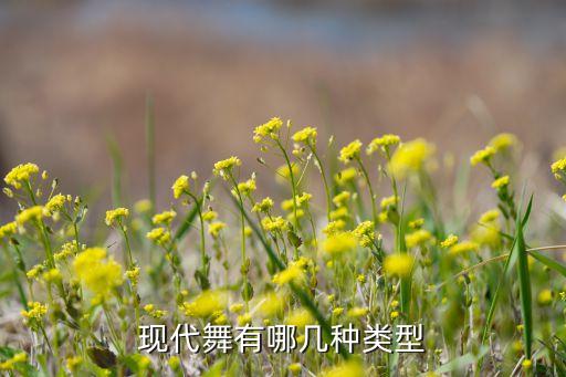 舞蹈的表现形式必须要,点绛唇舞蹈的内容和表现形式