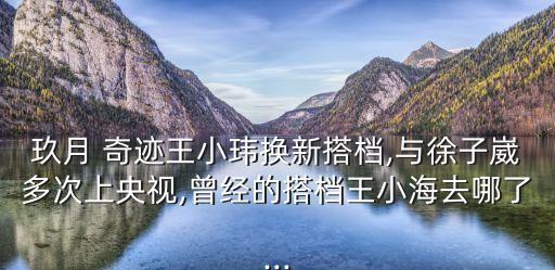 玖月 奇迹王小玮换新搭档,与徐子崴多次上央视,曾经的搭档王小海去哪了...