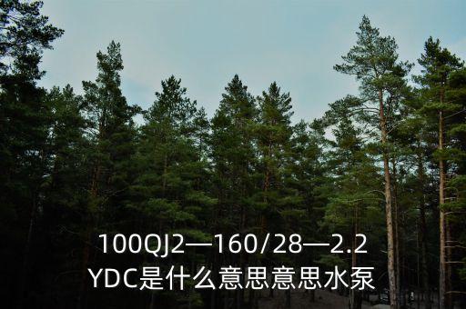 100QJ2—160/28—2.2YDC是什么意思意思水泵