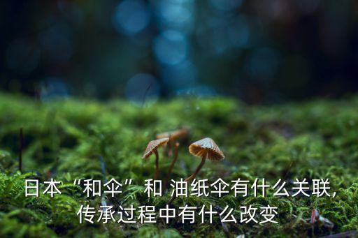 广场舞王梅最新舞蹈油纸伞
