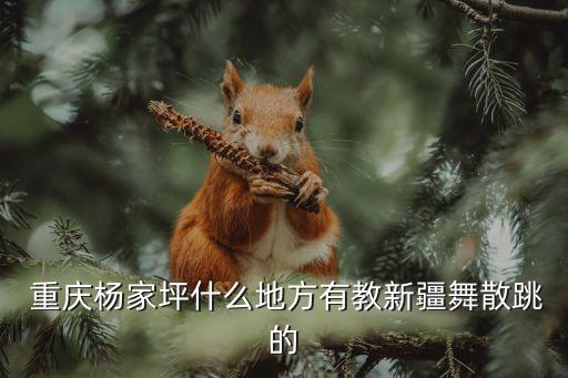  重庆杨家坪什么地方有教新疆舞散跳的