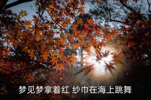 梦见梦拿着红 纱巾在海上跳舞