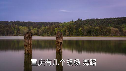  重庆有几个胡杨 舞蹈