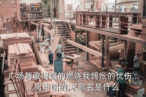  广场舞歌词唱的燃烧我惆怅的忧伤……男声唱的,求歌名是什么