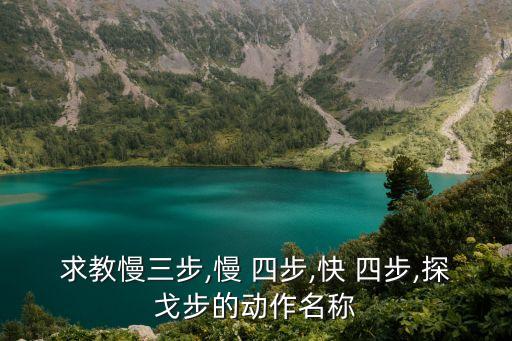 求教慢三步,慢 四步,快 四步,探戈步的动作名称