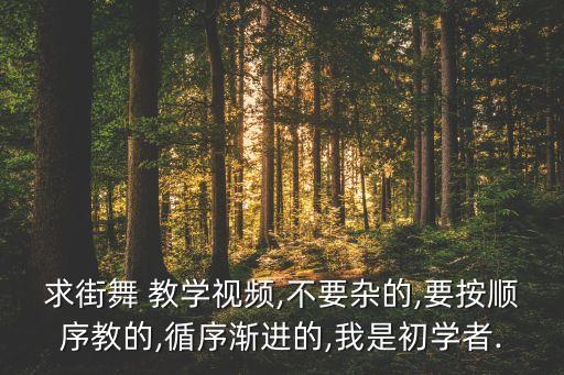 求街舞 教学视频,不要杂的,要按顺序教的,循序渐进的,我是初学者.