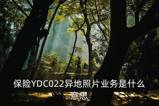 保险YDC022异地照片业务是什么意思