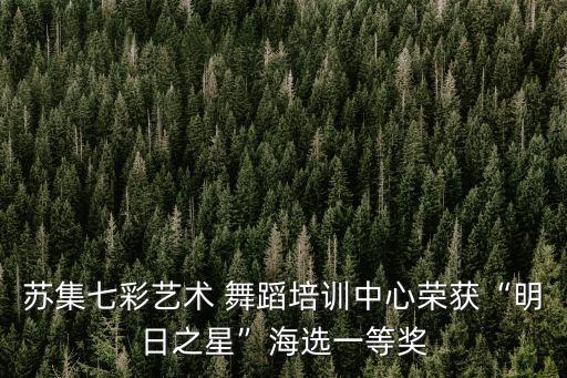 苏集七彩艺术 舞蹈培训中心荣获“明日之星”海选一等奖