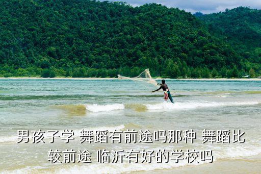 男孩子学 舞蹈有前途吗那种 舞蹈比较前途 临沂有好的学校吗