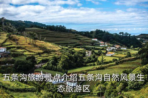 又回山沟沟舞蹈,回到山沟沟搞笑舞蹈视频