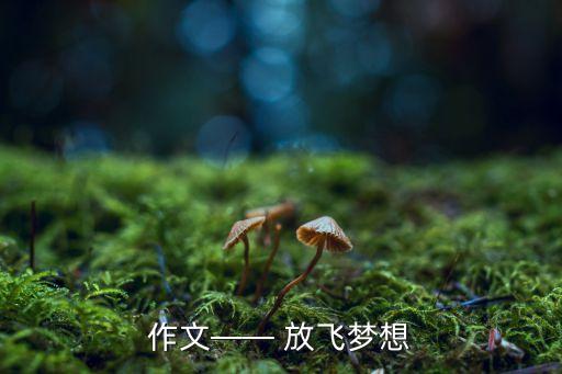 作文—— 放飞梦想