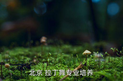 北京 拉丁舞专业培养
