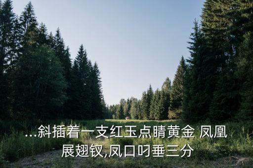 ...斜插着一支红玉点睛黄金 凤凰 展翅钗,凤口叼垂三分
