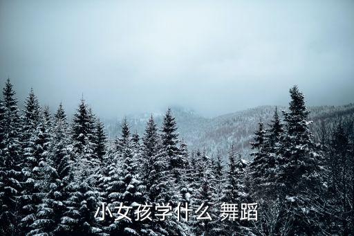 小女孩学什么 舞蹈