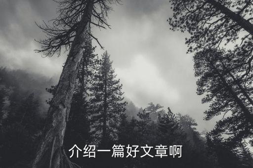 介绍一篇好文章啊