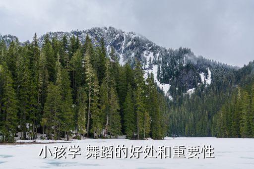 小孩学 舞蹈的好处和重要性