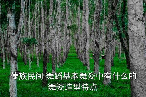  傣族民间 舞蹈基本舞姿中有什么的舞姿造型特点