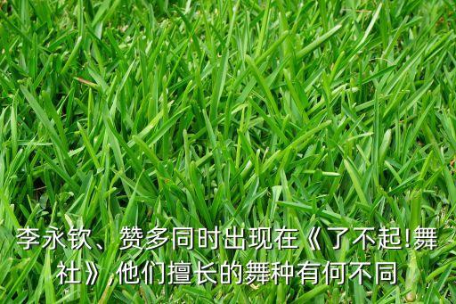 李永钦、赞多同时出现在《了不起!舞社》,他们擅长的舞种有何不同