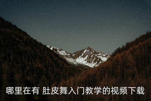 哪里在有 肚皮舞入门教学的视频下载