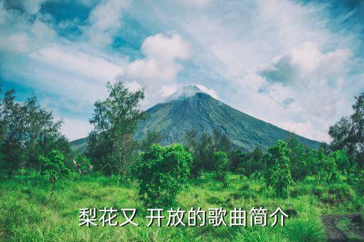  梨花又 开放的歌曲简介