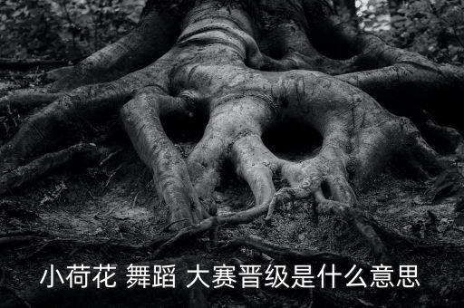 小荷花 舞蹈 大赛晋级是什么意思