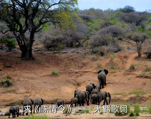 求《陈情令》—— 无羁歌词