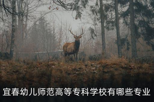 宜春幼儿师范高等专科学校有哪些专业