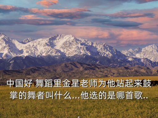 中国好 舞蹈里金星老师为他站起来鼓掌的舞者叫什么…他选的是哪首歌...