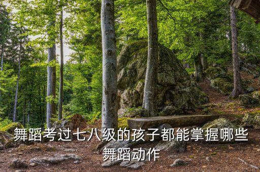  舞蹈考过七八级的孩子都能掌握哪些 舞蹈动作